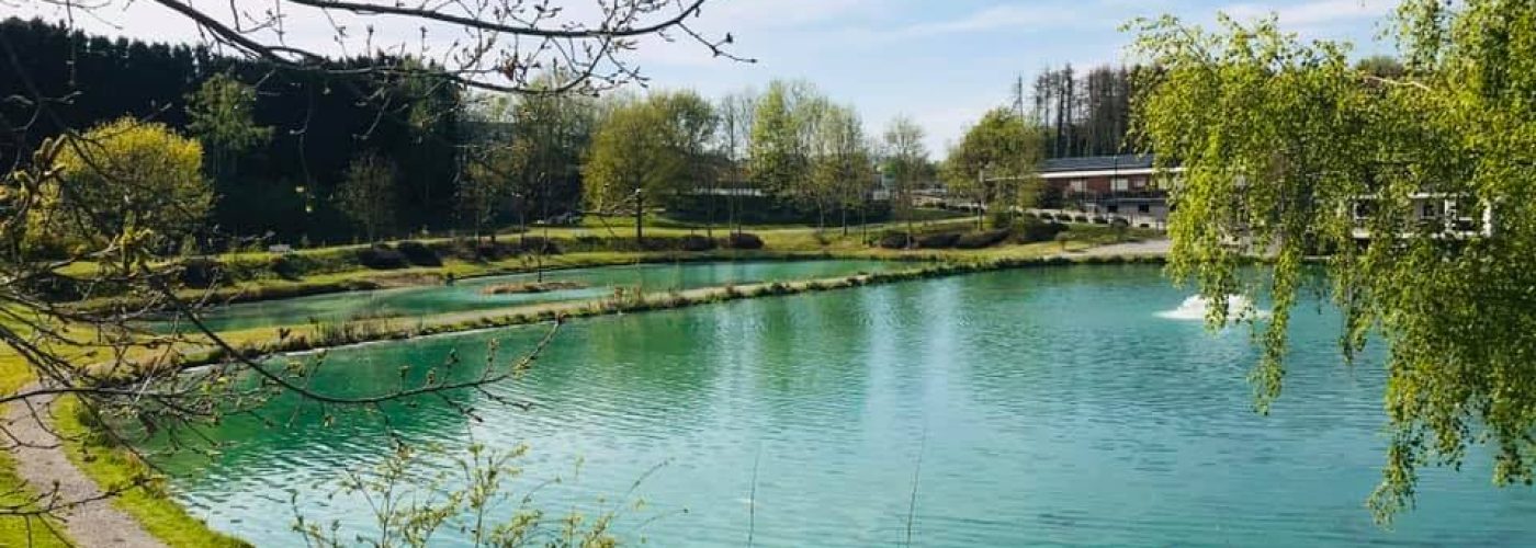 les etangs deu faux rieux les etangs deu faux rieux